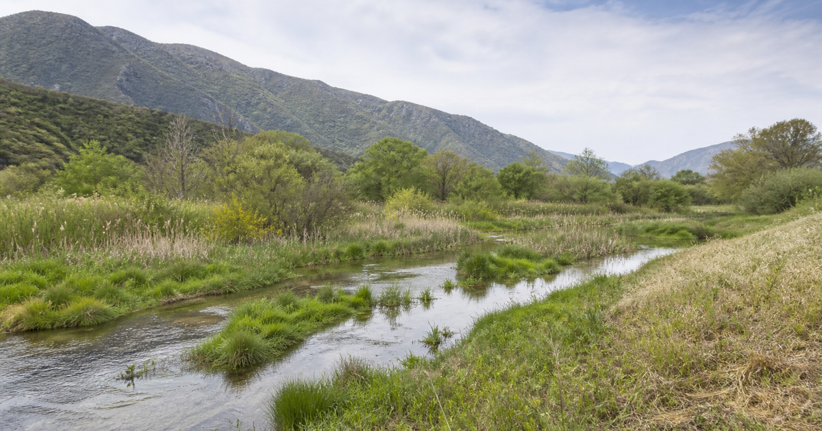 Paesaggio montano con un corso d’acqua poco profondo, vegetazione palustre, canneti e alberi verdi, sotto un cielo parzialmente nuvoloso.